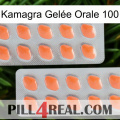 Kamagra Gelée Orale 100 27